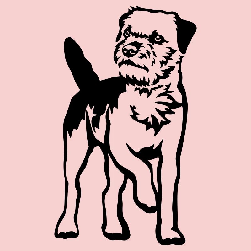 Border Terrier