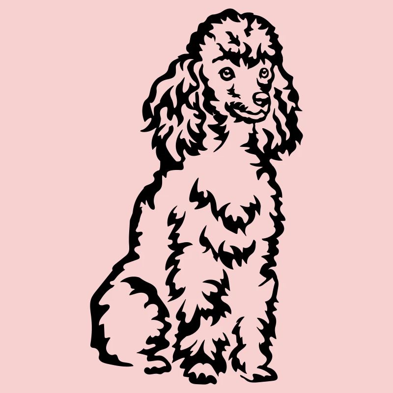 Caniche