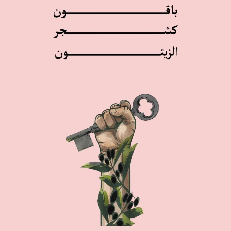 Solid like Oliven trees