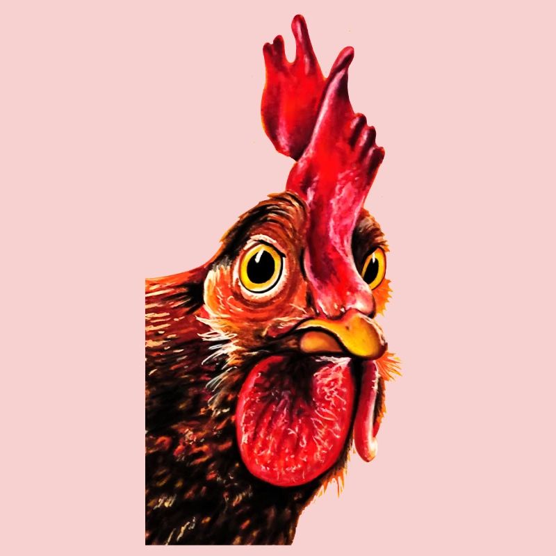 Coq Herbert