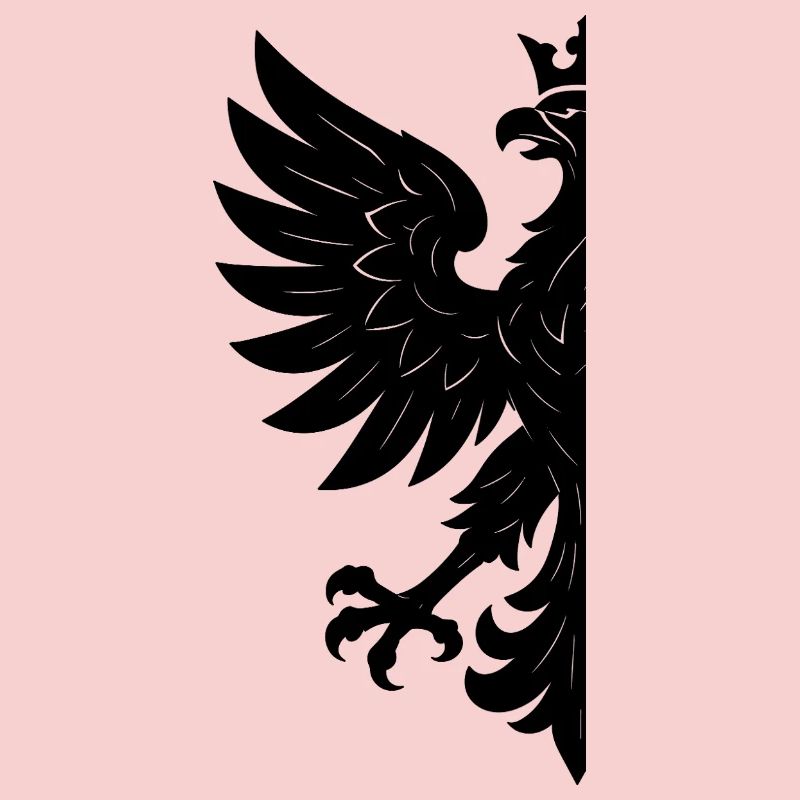 Pologne Polska Eagle Drapeau Drapeau Noir Cadeau