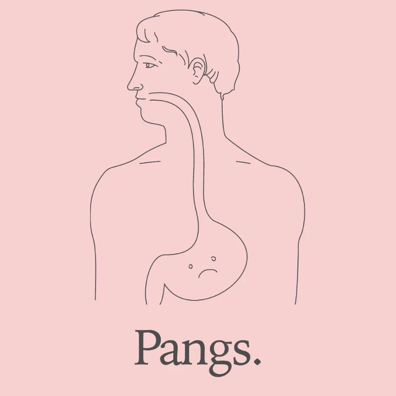 Pangs Anatomy Line Art