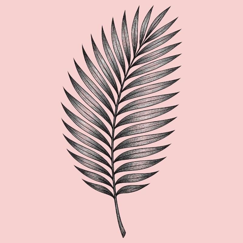 Black palm leaf pattern