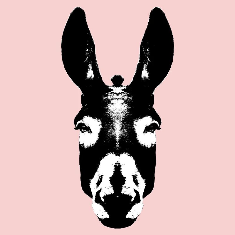 Âne / Tête
