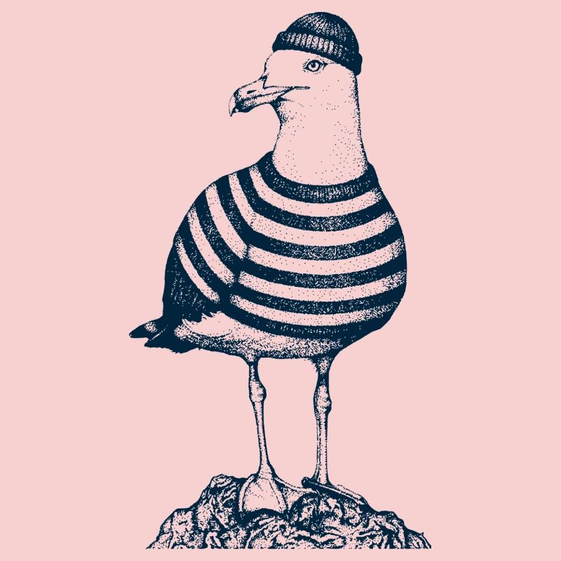 Mouette avec pull