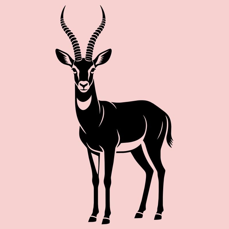 antelope