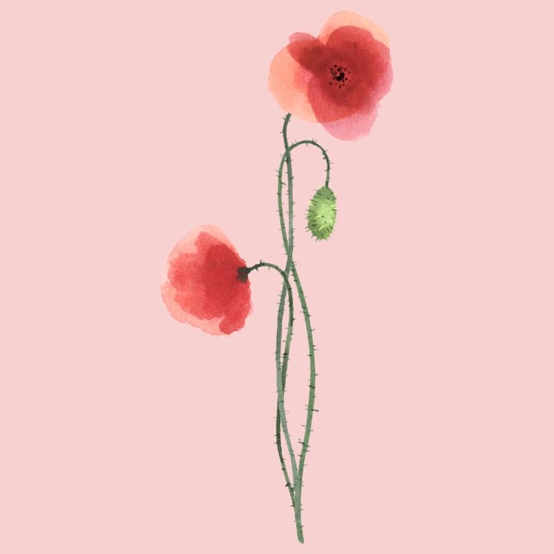 Fleur : coquelicot rouge