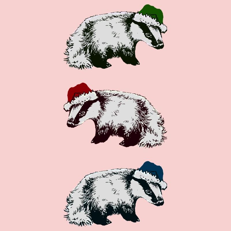 WEIHNACHTSDACHSE