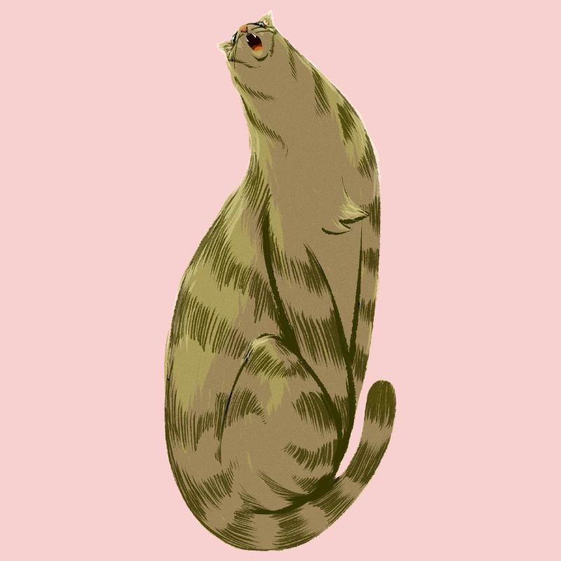 Olive Mou