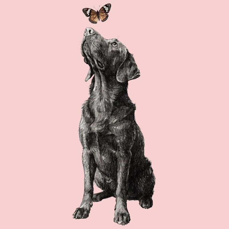 Illustration de labrador avec le chien papillon Labbi