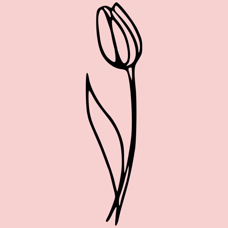 Tulipe