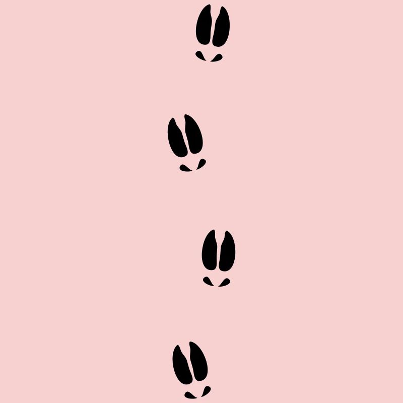 Moose tracks