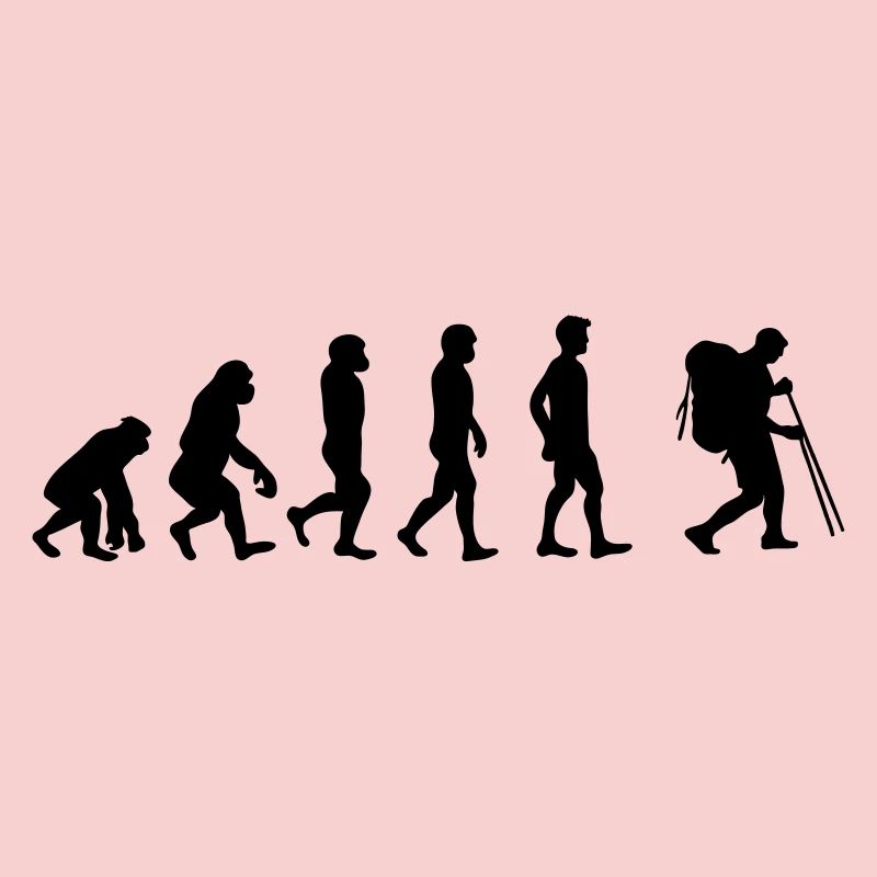 Wanderer