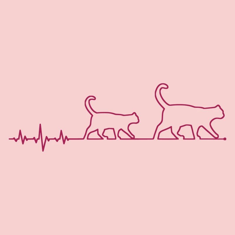 ekg katze