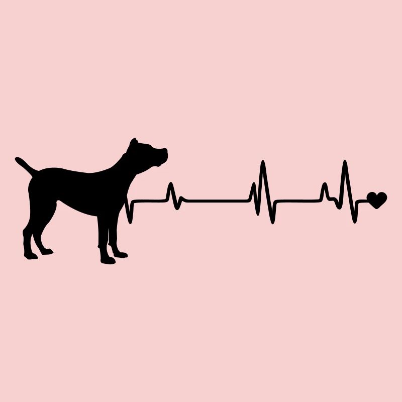 Hund