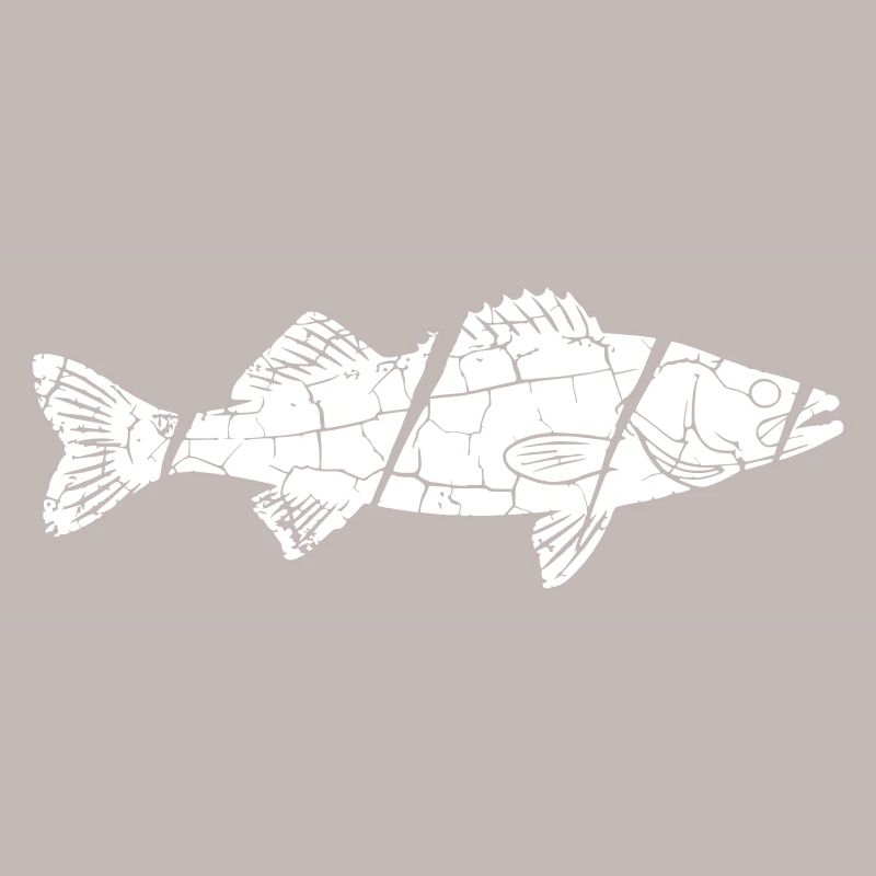 Big Zander Fish Catch Vector