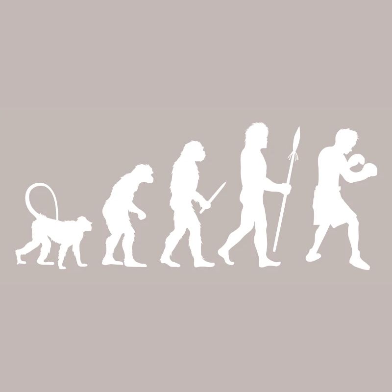 Evolution des Boxens