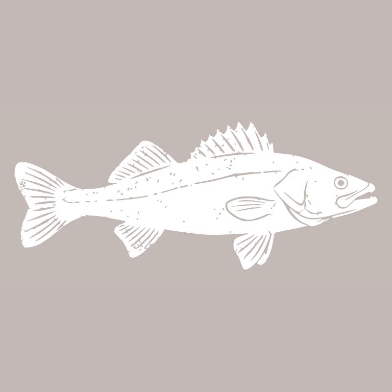 Big Zander Fish Catch Vector