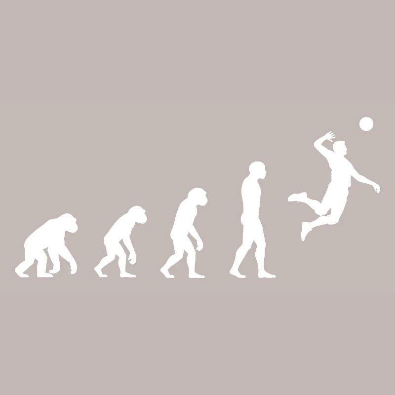 Evolution volleyball 
