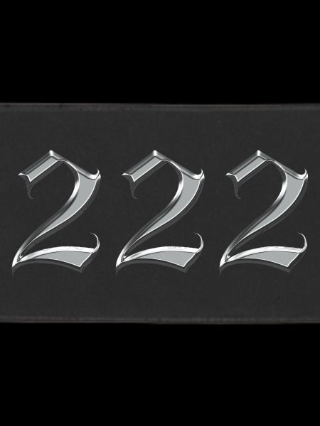 Angel Number 222 Alignment 