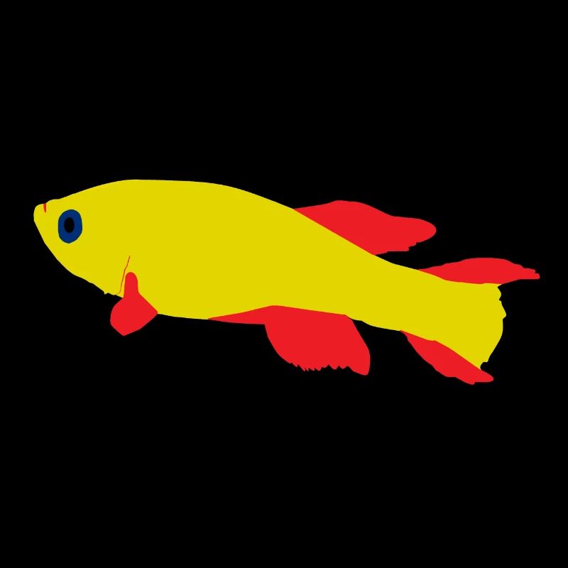 Killifish Rouge et Jaune