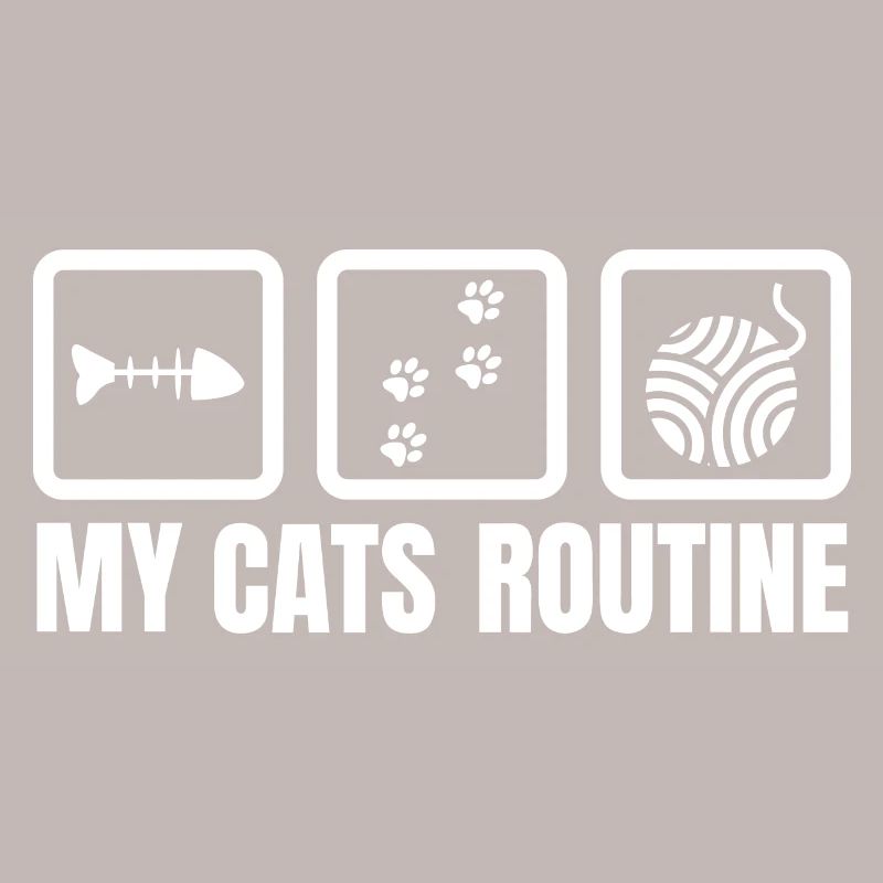 My cat's routine