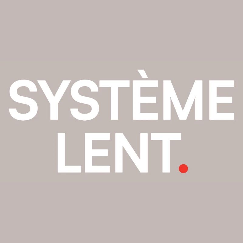 Slow system, humor, fatigue, work