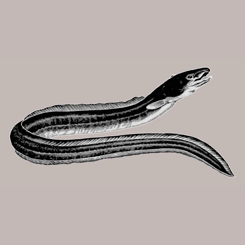 ca.