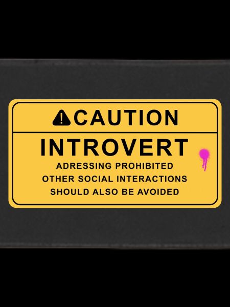 Attention : Introverti