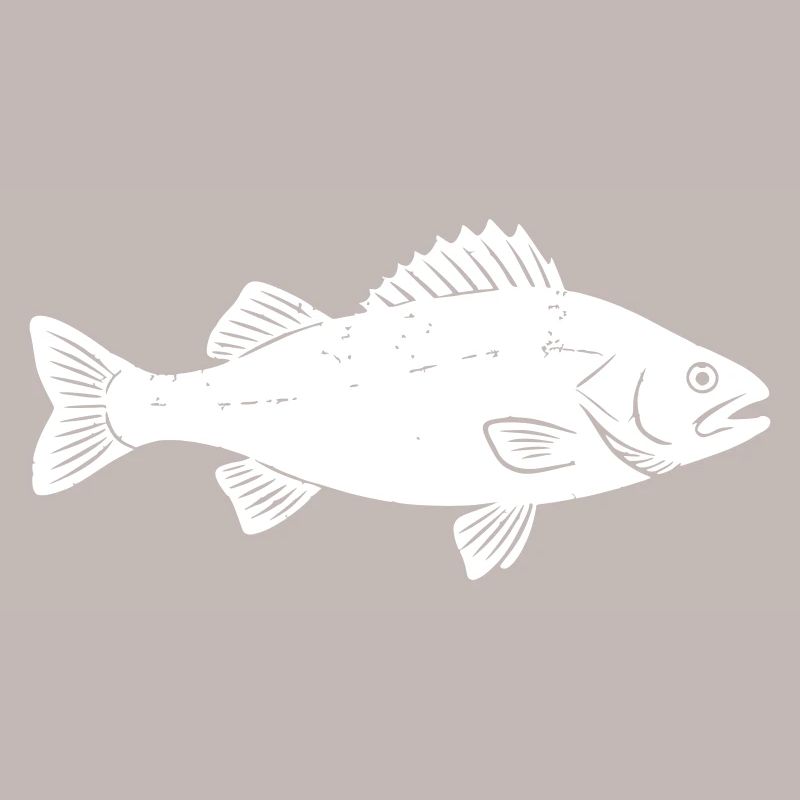 Barsch Flussbarsch Perch Angler Vektor