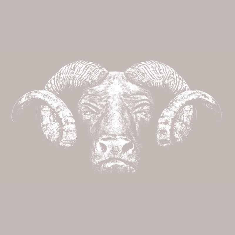 Minotaur / Head