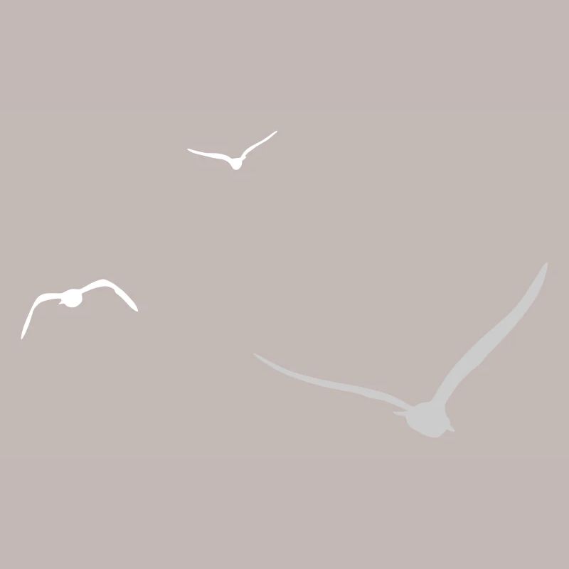 Three Seagulls | Seagull | Colors adjustable