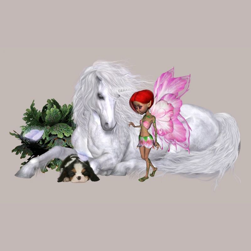 Wunderbares Einhorn mit Fee
