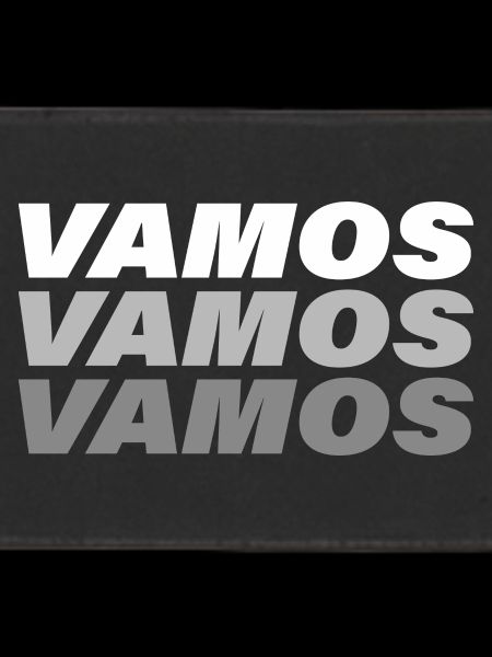 VAMOS
