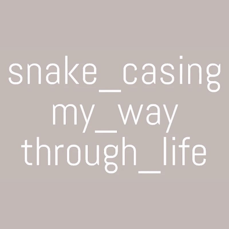 Snake Casing – Lebensweg | Informatiker | Nerd