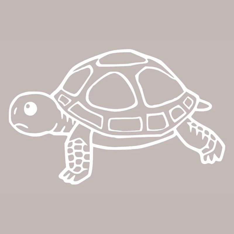 Turtle Turtles