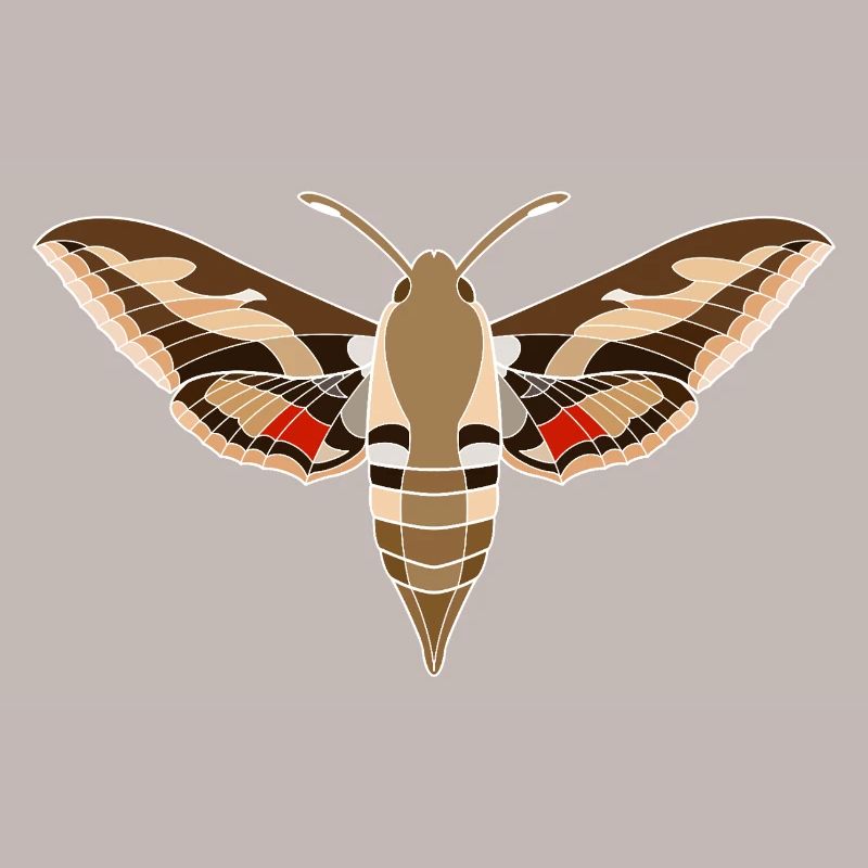Papillon de paille de lit