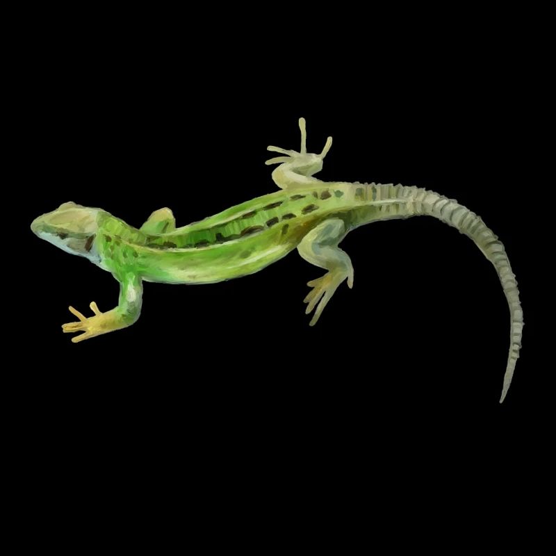 Gecko Green Pattern