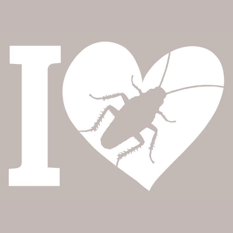 cockroach insect