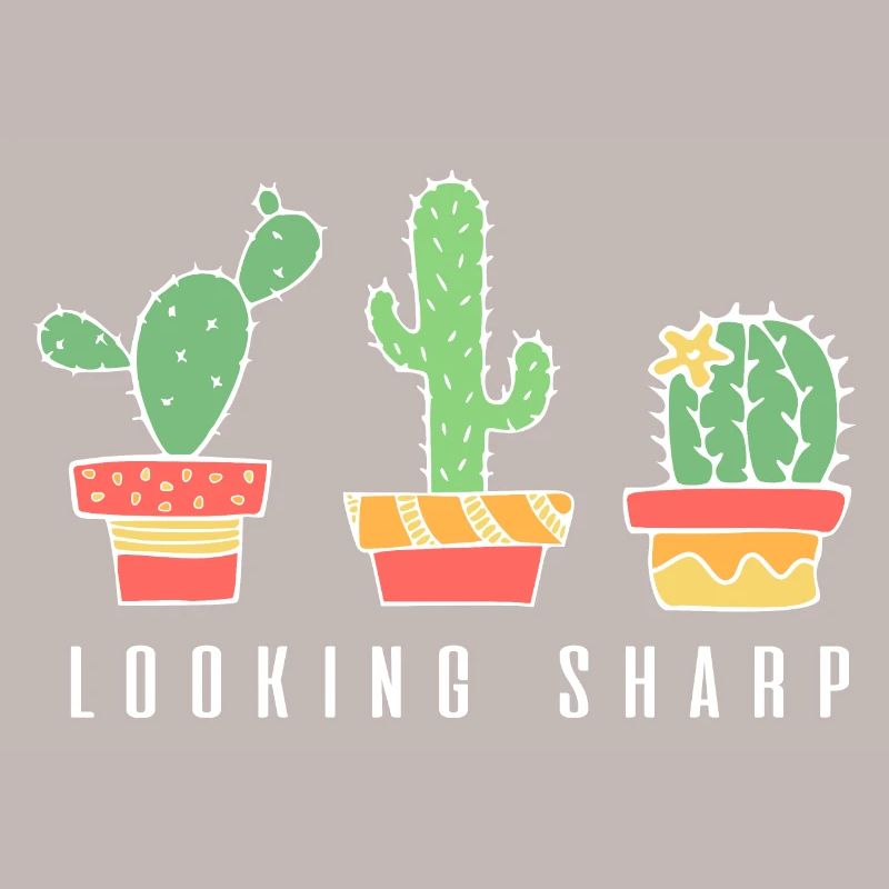 Looking Sharp Cactus