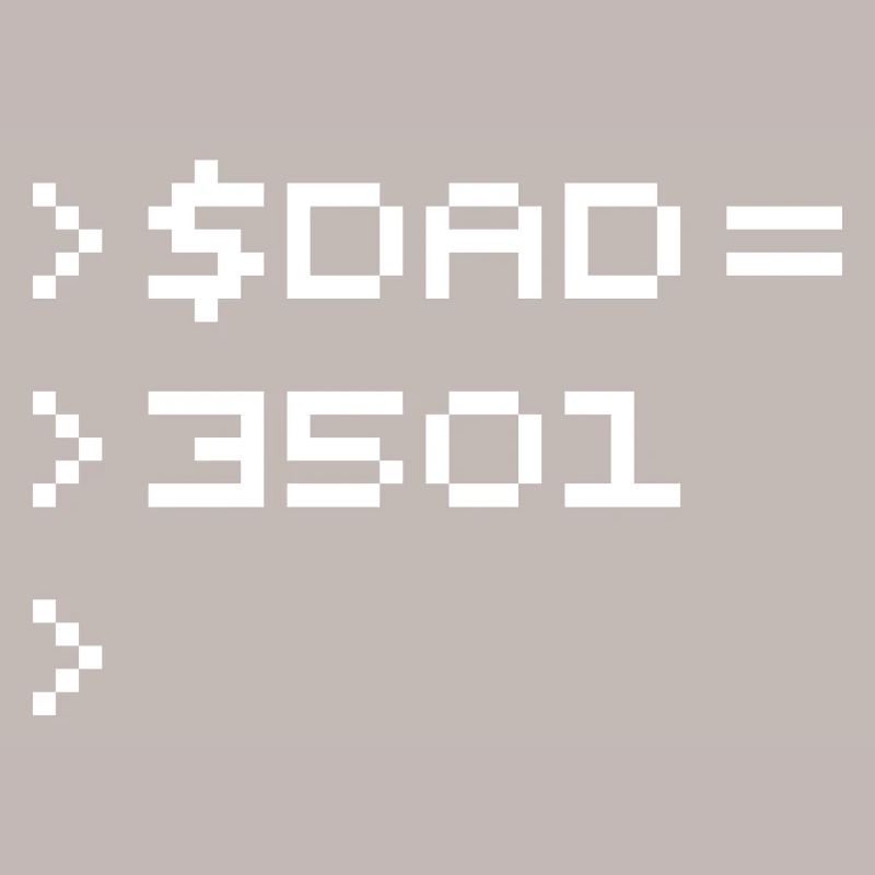 DAD Terminal de Pixels Nerd Code 8-Bits Rétro