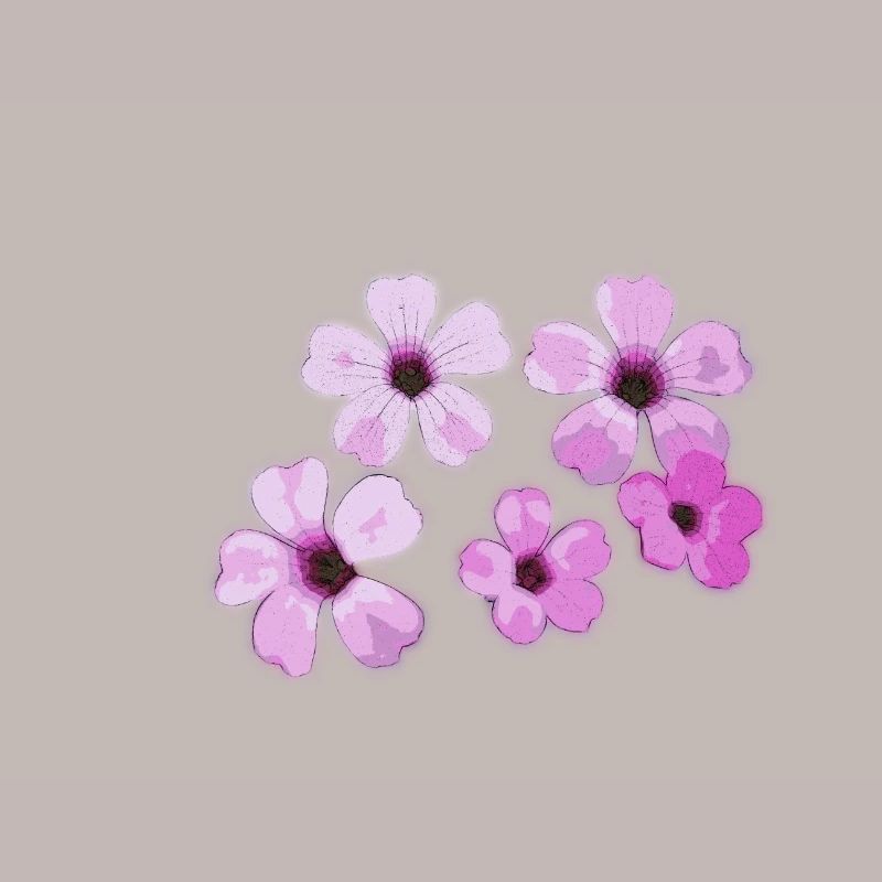 Fleurs