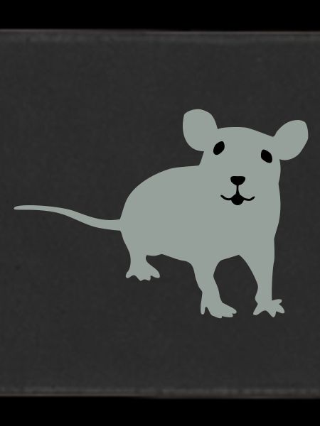 Rat