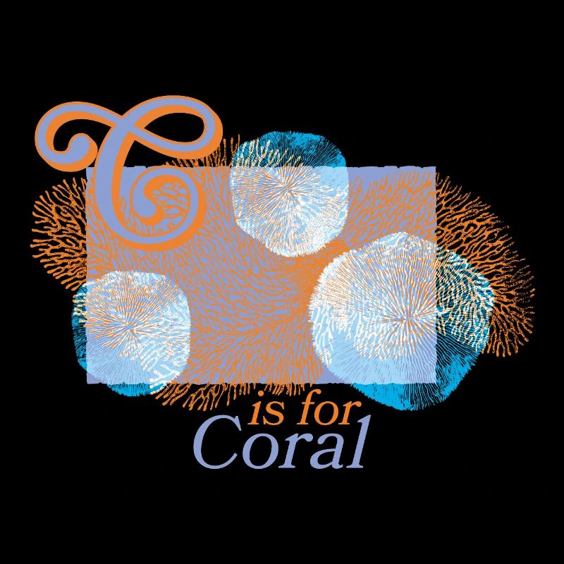 Coral magic in focus