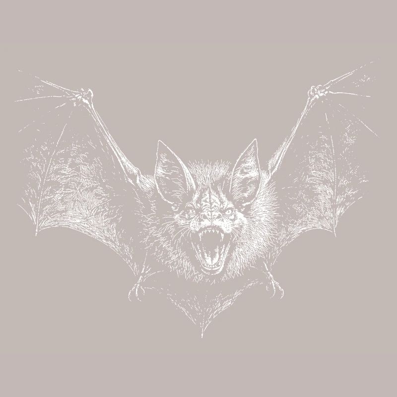 Bat
