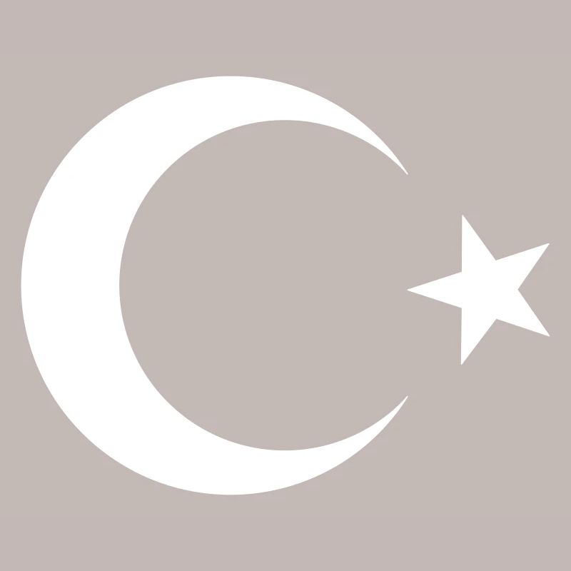 Drapeau turc noir