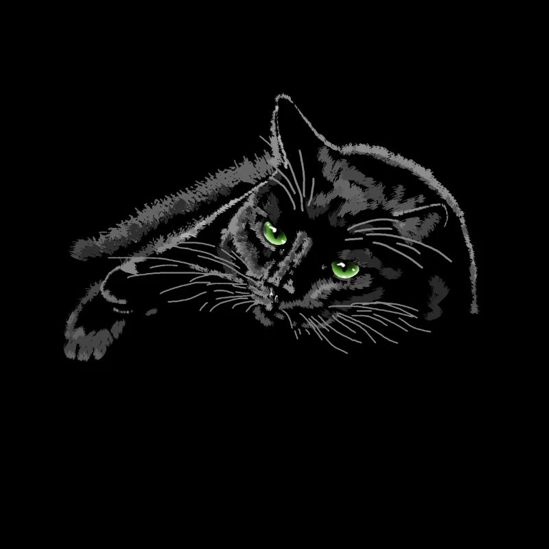 chat