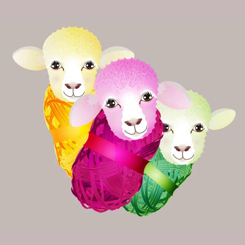 three colourful sheep with colour-coordinated wool