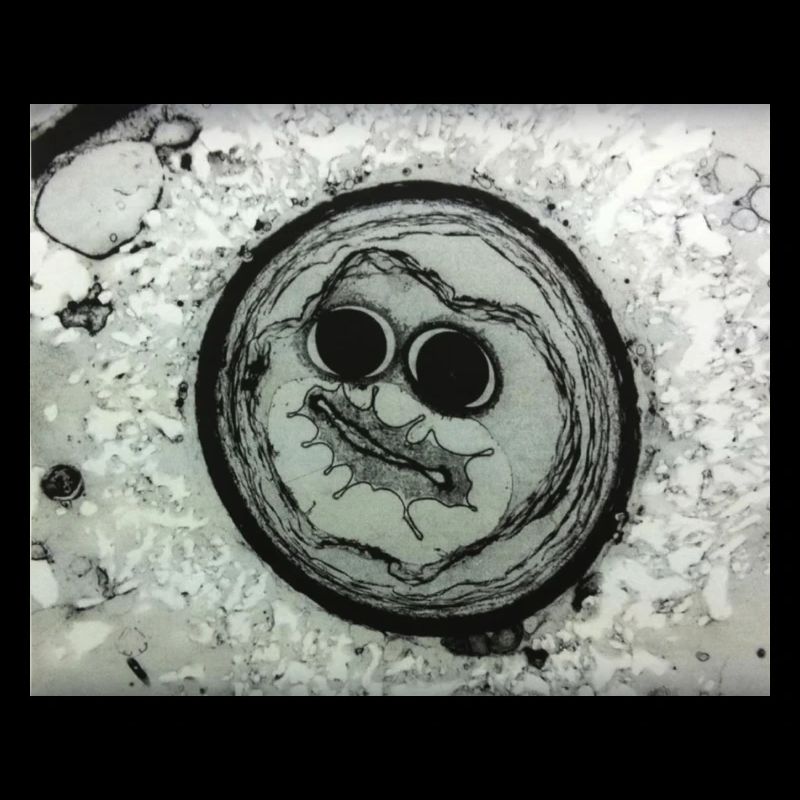 Planetengesicht mit Sonnenbrille