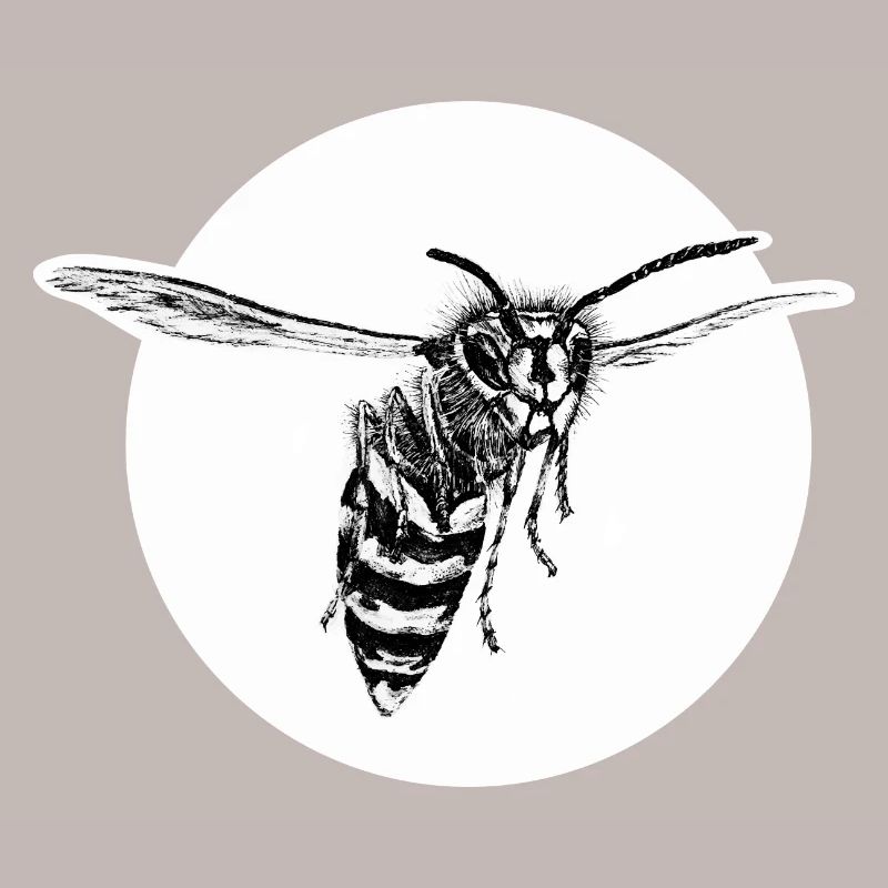 Guêpe - Abeille - Insecte